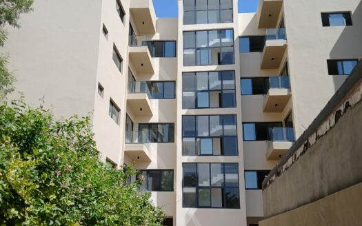 Appartement à louer au Point E avenue Cheikh Anta DIOP